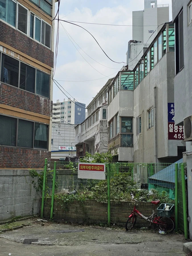 위험수목벌목 작업 후 현장
