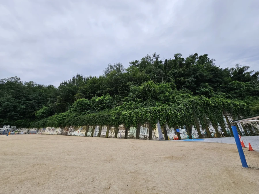 공장벌목 작업 전 현장