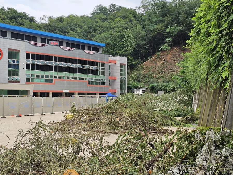 잡목제거 작업 후 현장