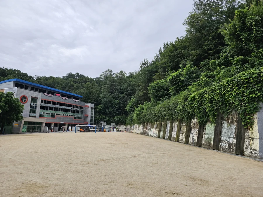 잡목제거 작업 전 현장